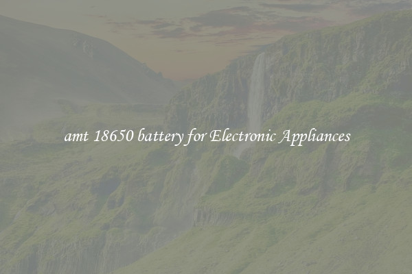 amt 18650 battery for Electronic Appliances