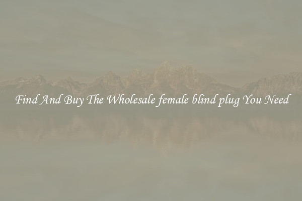 Find And Buy The Wholesale female blind plug You Need
