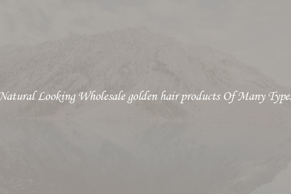 Natural Looking Wholesale golden hair products Of Many Types