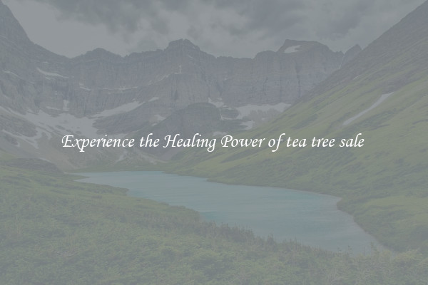 Experience the Healing Power of tea tree sale 