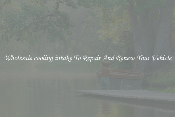 Wholesale cooling intake To Repair And Renew Your Vehicle