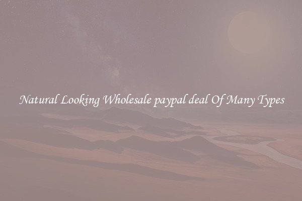 Natural Looking Wholesale paypal deal Of Many Types