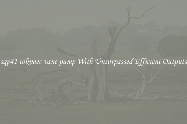 sqp41 tokimec vane pump With Unsurpassed Efficient Outputs