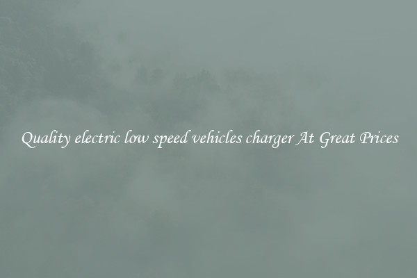 Quality electric low speed vehicles charger At Great Prices