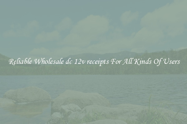 Reliable Wholesale dc 12v receipts For All Kinds Of Users