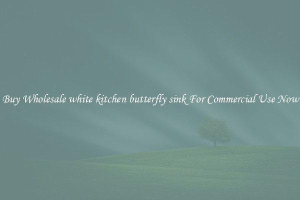 Buy Wholesale white kitchen butterfly sink For Commercial Use Now