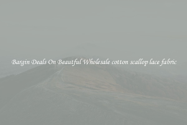 Bargin Deals On Beautful Wholesale cotton scallop lace fabric
