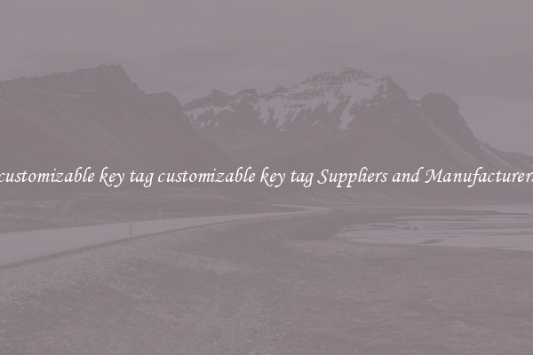 customizable key tag customizable key tag Suppliers and Manufacturers