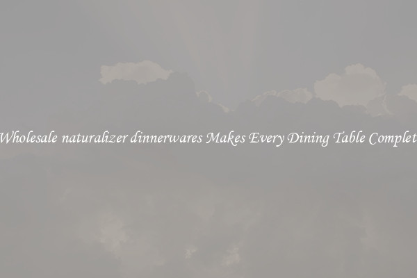 Wholesale naturalizer dinnerwares Makes Every Dining Table Complete