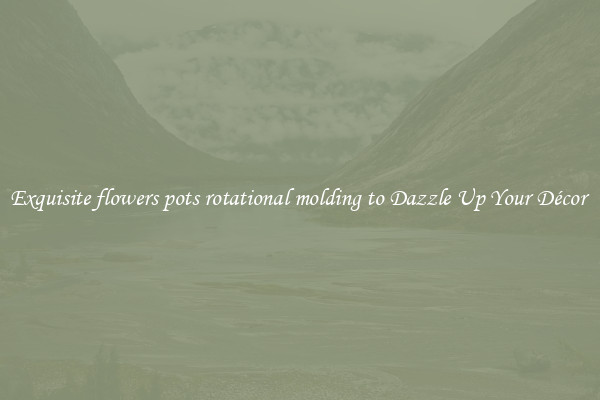 Exquisite flowers pots rotational molding to Dazzle Up Your Décor 