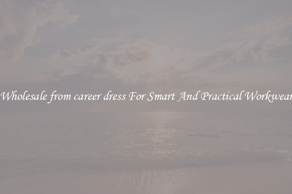 Wholesale from career dress For Smart And Practical Workwear