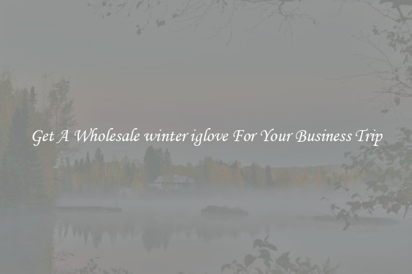 Get A Wholesale winter iglove For Your Business Trip
