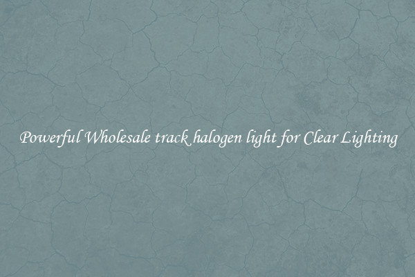 Powerful Wholesale track halogen light for Clear Lighting