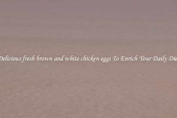 Delicious fresh brown and white chicken eggs To Enrich Your Daily Diet