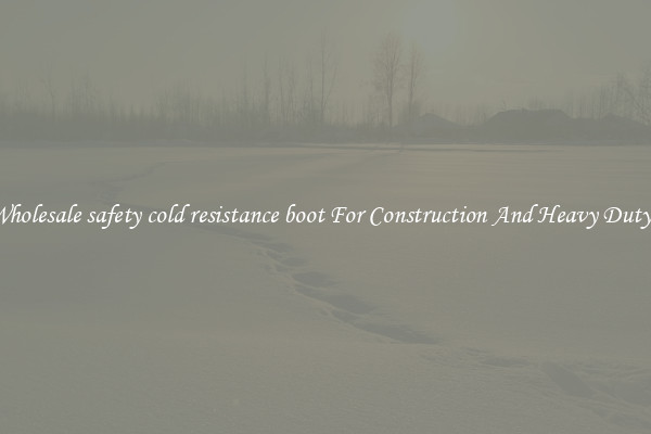 Buy Wholesale safety cold resistance boot For Construction And Heavy Duty Work