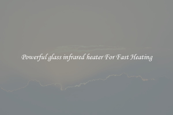 Powerful glass infrared heater For Fast Heating