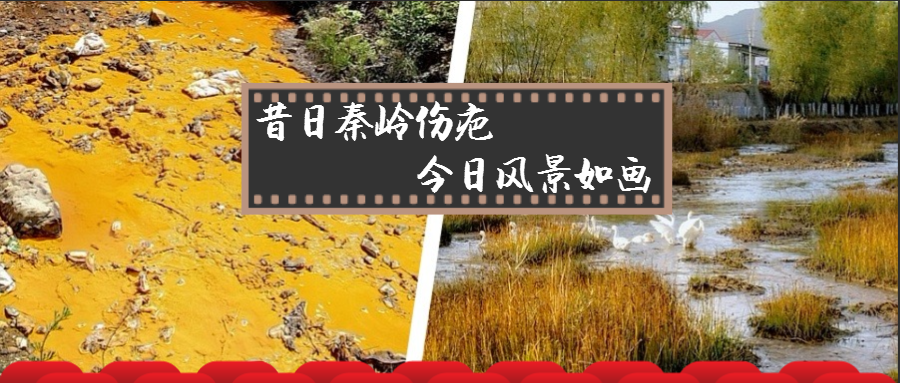 旧日秦岭伤疤 今日景致如画——陕西J9集团平台集团黄龙河道域传染治理侧记