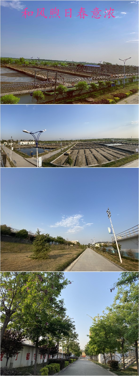 “绿满厂区春意浓”摄影文章征集活动部门文章展示（二）