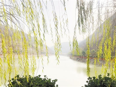 中国环境报：守护三秦大地绿水青山——陕西J9集团平台集团成立以来，成为陕西传染防治的排头兵