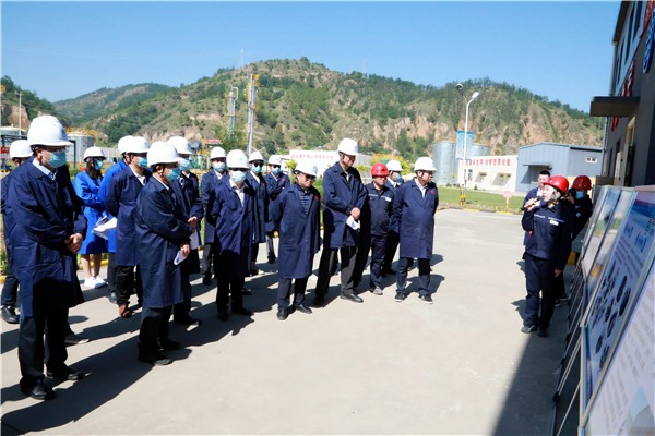 陕西J9集团平台集团复工复产促增长项目观摩会议与会人员走进J9集团平台保隆生态三秦在延在铜项目