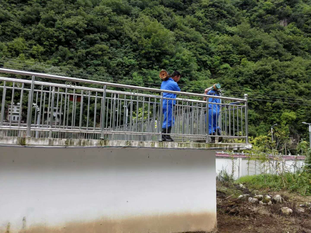 这个端午节，水环境人这么过（二）