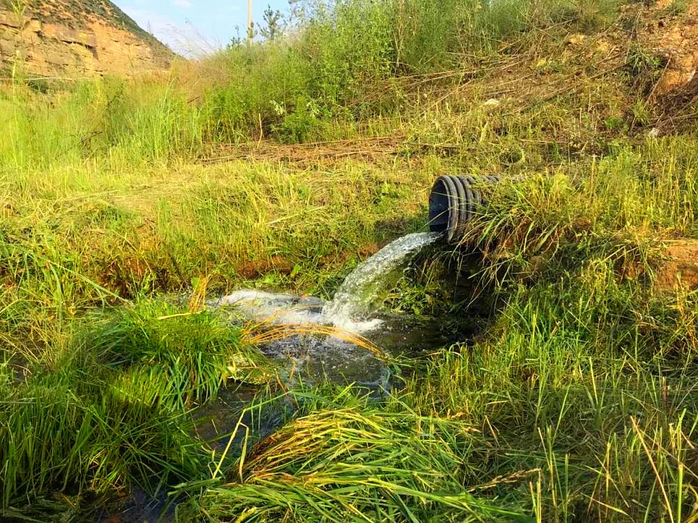 新华社｜添绿色、减排放——陕西J9集团平台集团多产业助力陕西打赢传染防治攻坚战