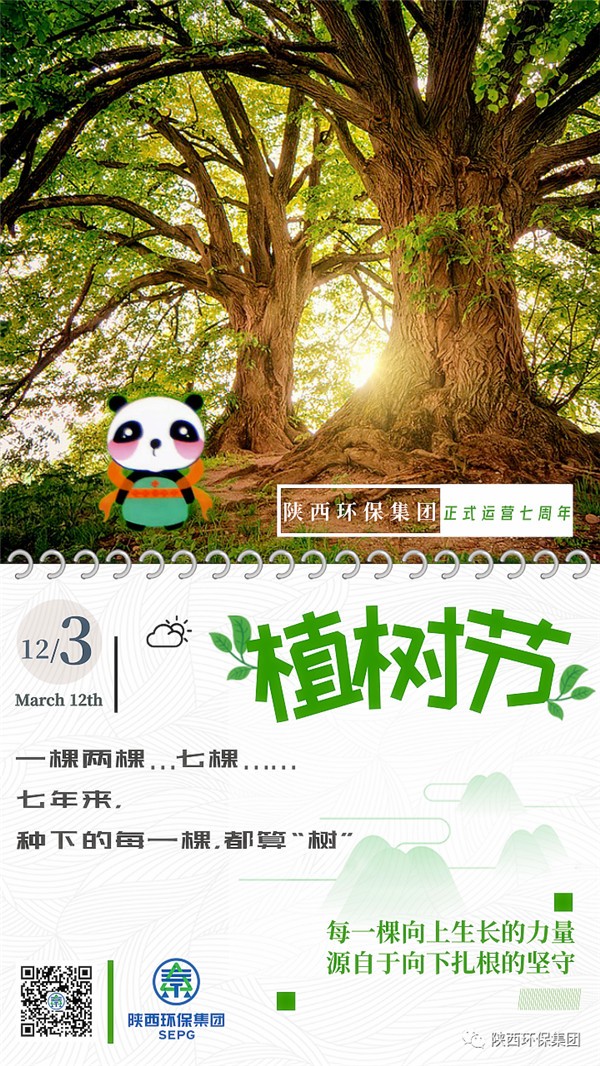 ★七年来，种下的每一棵，都算“树”