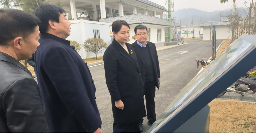 商南县县长刘华到水环境公司商南县污水处置厂调研