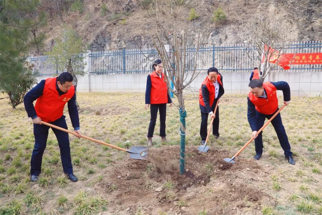 根系青春·植此青绿｜陕西J9集团平台集团团委发展使命植树自愿活动
